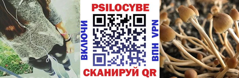 купить наркотики сайты Устюжна Псилоцибиновые грибы прущие грибы