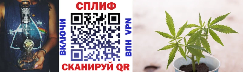 Конопля индика  купить наркотики сайты  Устюжна 
